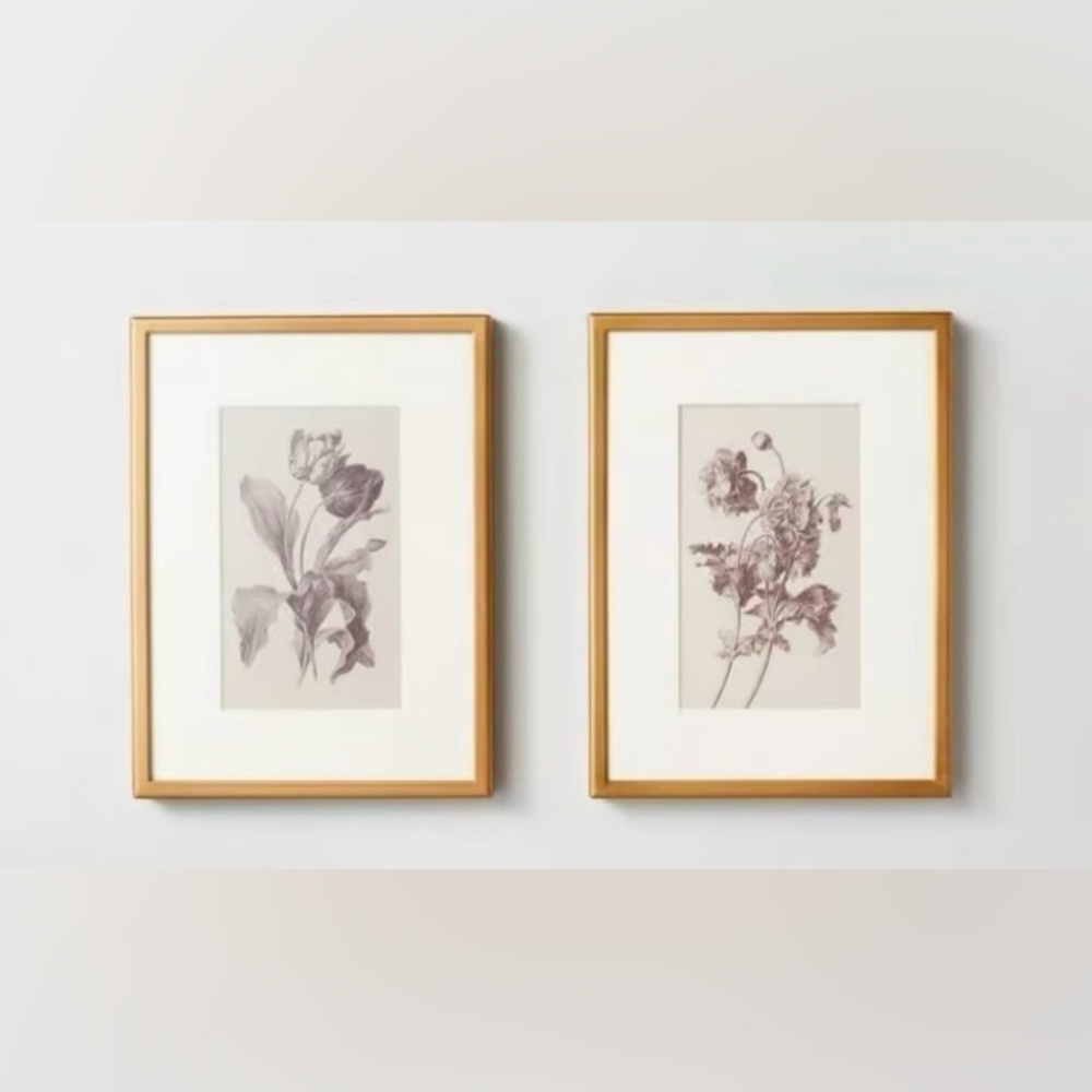 Hearth & Hand Magnolia 6x8 Floral Sketch Framed Wall Art Cream/Grey (Set of 2)
